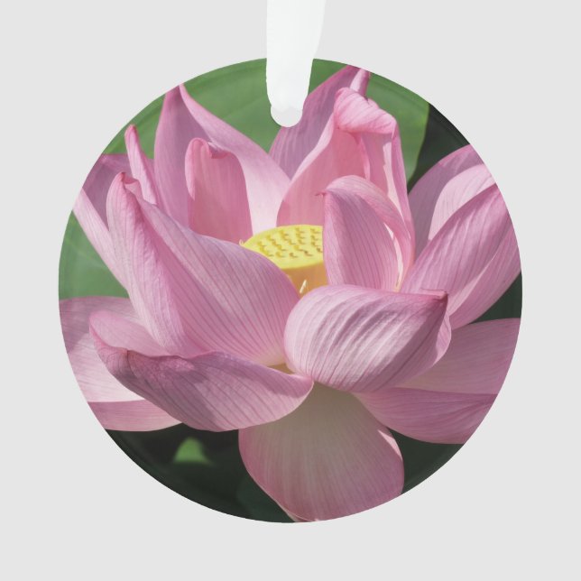 Adorno Flor rosa Lotus IV (Anverso)