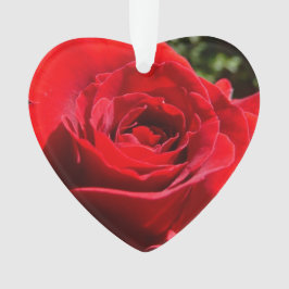 Adorno Flor rosa roja brillante hermosa flor