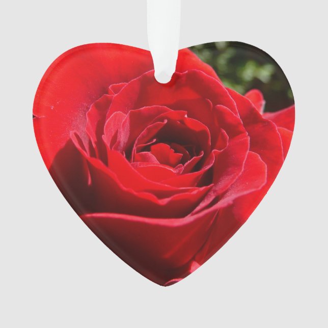 Adorno Flor rosa roja brillante hermosa flor (Anverso)