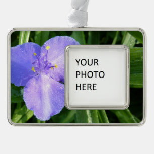 Adorno Flor silvestre Dewy Trillium Spring