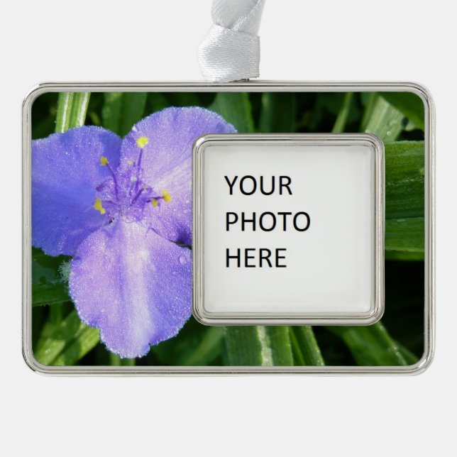 Adorno Flor silvestre Dewy Trillium Spring (Anverso)