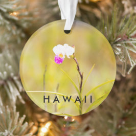 Adorno Flor tropical hawaiana 2 foto / texto
