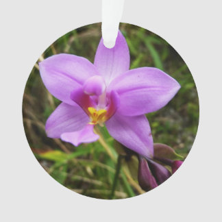 Adorno Flor tropical púrpura de orquídea salvaje