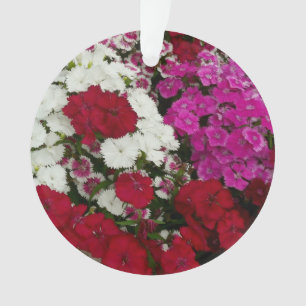 Adorno Floral blanca, rosa y roja de Dianthus