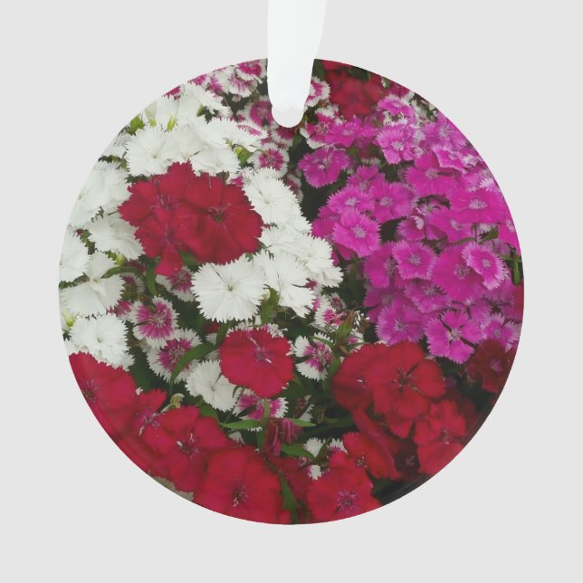 Adorno Floral blanca, rosa y roja de Dianthus (Anverso)