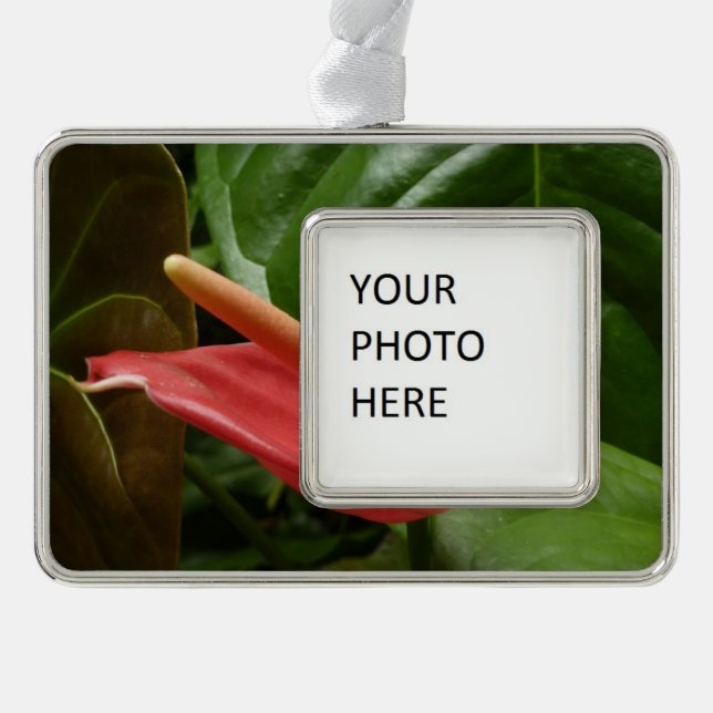 Adorno Floral de Calla Rosa Lily Elegant (Anverso)