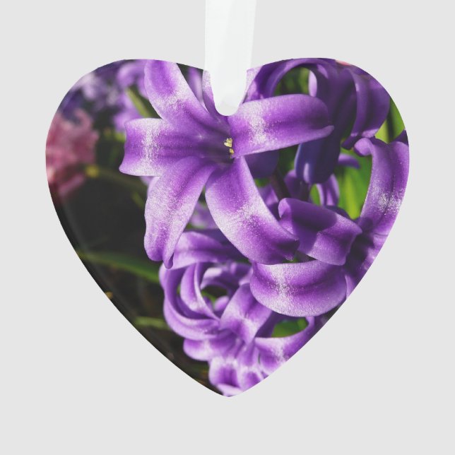 Adorno Floral de primavera azul Hyacinin II (Reverso)