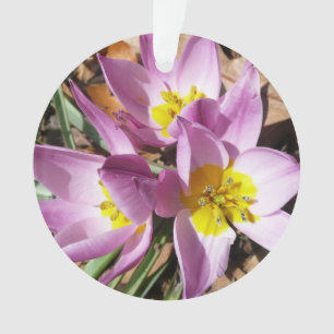 Adorno Floral de primavera de cruces rosas