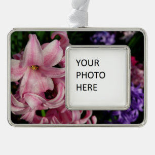 Adorno Floral de primavera de Hyacint rosado