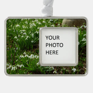 Adorno Floral de primavera (Galanthus)