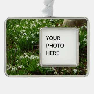 Adorno Floral de primavera (Galanthus)