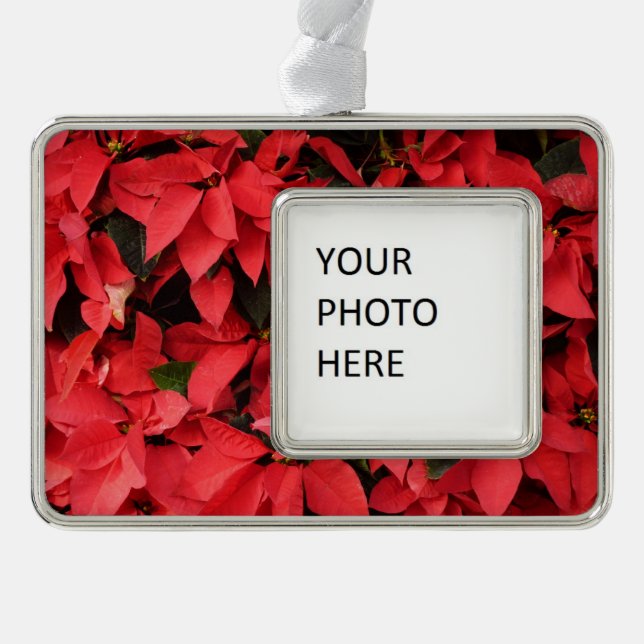 Adorno Floral navideña de Navidades de la Poinsettias Roj (Anverso)