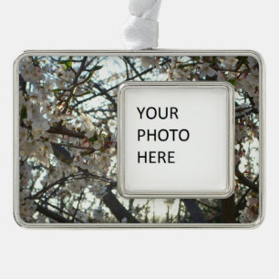 Adorno Florecimiento de cerezo por la noche II Puesta de 