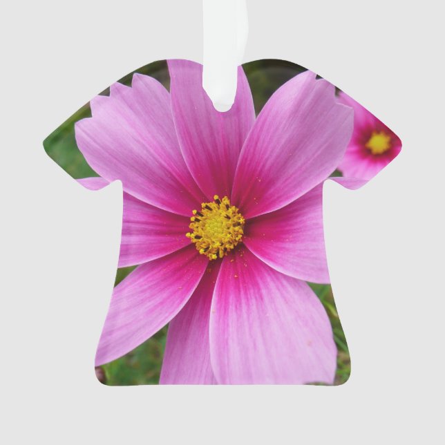 Adorno Flores Cosmos rosadas Flores silvestres (Anverso)