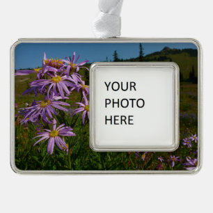 Adorno Flores de Aster Púrpura en Mount Rainier