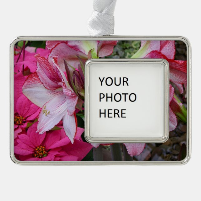 Adorno Flores de feriado rojo de Amaryllis y Poinsettia (Anverso)