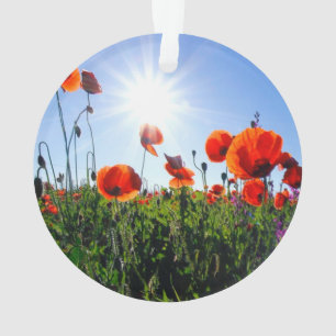 Adorno Flores de lapachos rojos salvajes