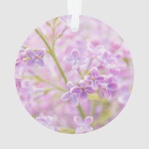 Adorno Flores de Lila Niebla