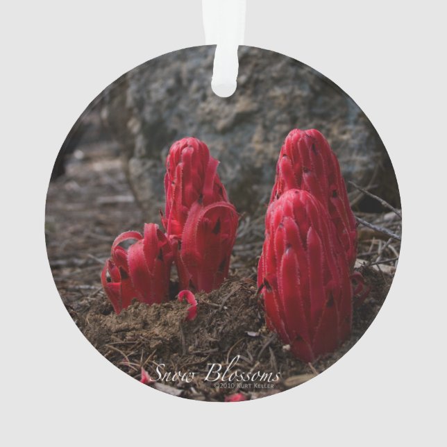 Adorno Flores de nieve (Reverso)