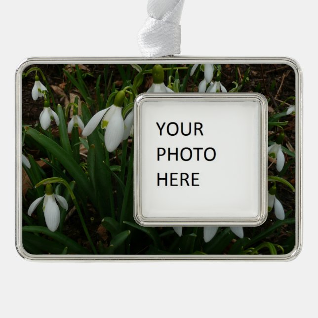 Adorno Flores de Primavera Blanca (Galanthus) (Anverso)