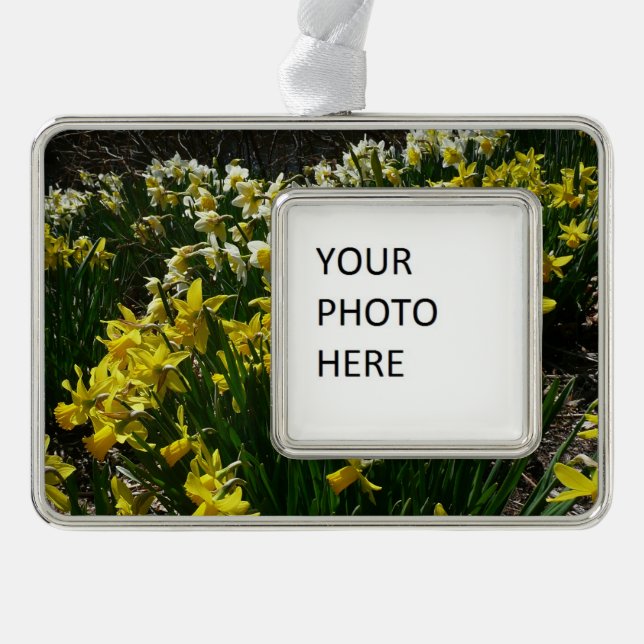 Adorno Flores de primavera de los Daffodils amarillos y b (Anverso)