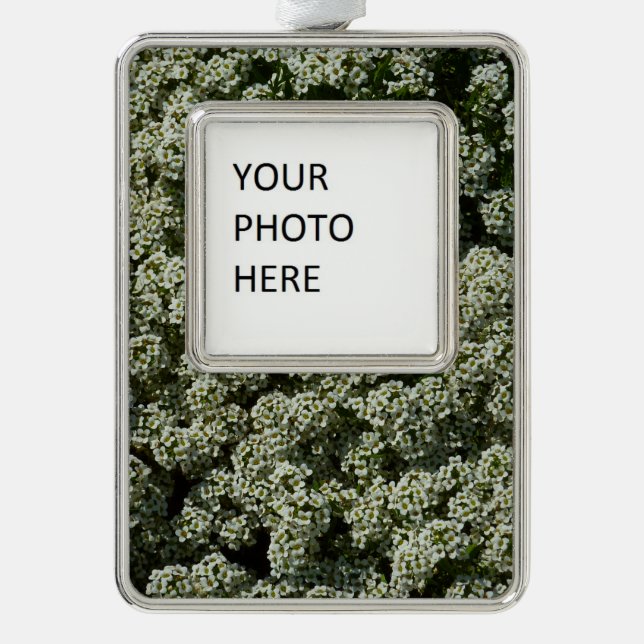 Adorno Flores dulces de alyssum florales blancas (Anverso)