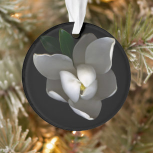 Adorno Flores Flor de magnolia blanca única