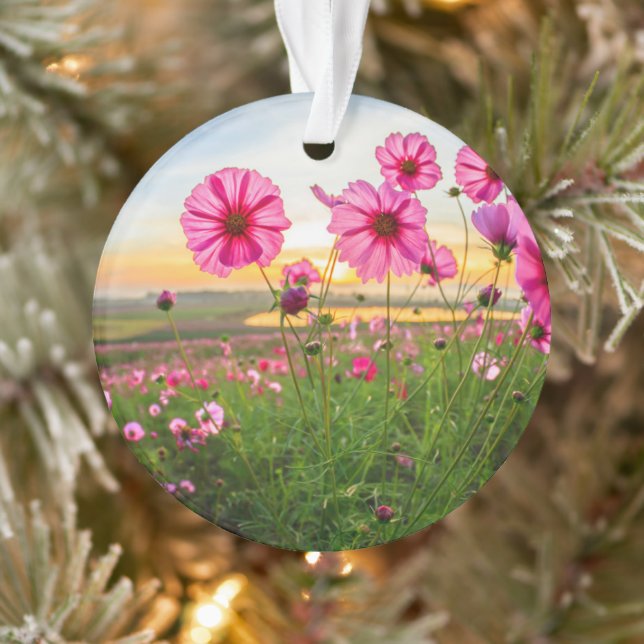 Adorno Flores |Provincia de Chiang Rai, Tailandia (Árbol)