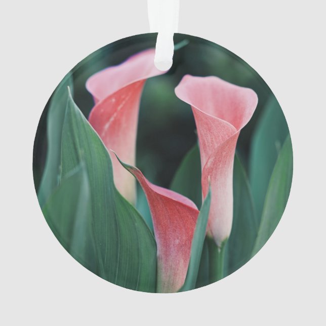 Adorno Flores rosas Calla Lilies (Reverso)