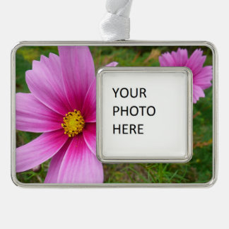 Adorno Flores silvestres cosmos rosas