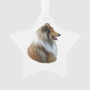 Adorno Foto áspera del retrato del perro del collie
