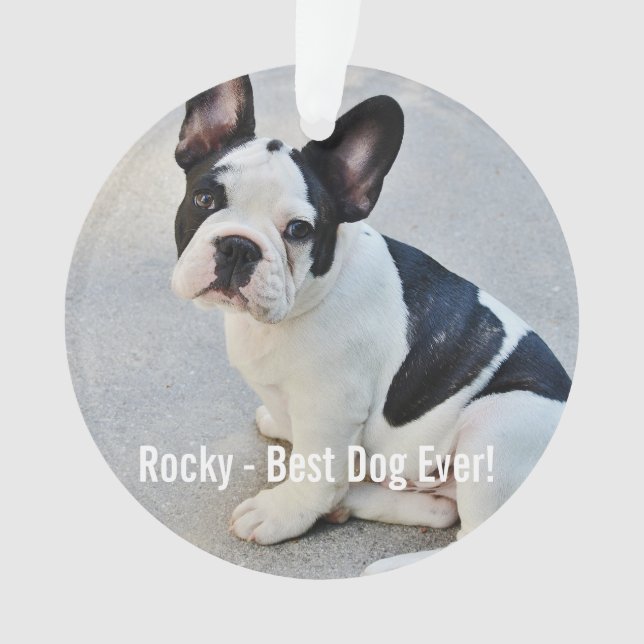 Adorno Foto de Bulldog personalizada y nombre de Bulldog (Anverso)
