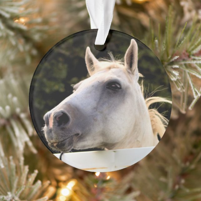 Adorno Foto de caballo blanco (Árbol)