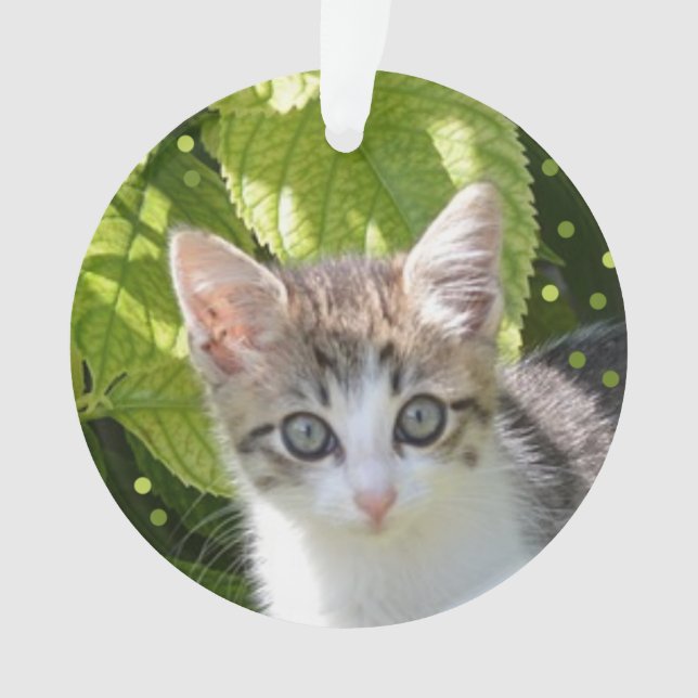 Adorno Foto de gatito tabby personalizada (Anverso)