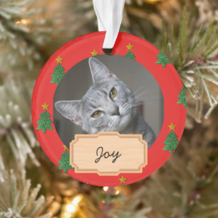 Adorno Foto de gato personalizada de Navidad vintage