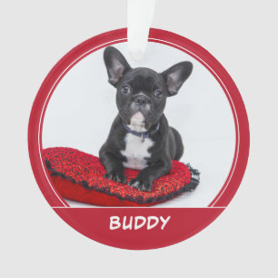 Adorno Foto de mascota de perro cachorro rojo festivo de