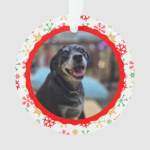Adorno Foto de mascota linda, para nuestro cartero favori