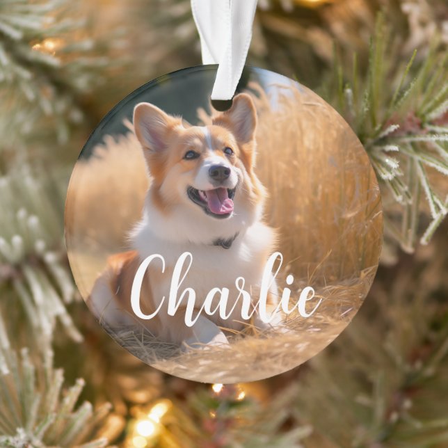 Adorno Foto de Mascota Personalizada con Nombre (Árbol)