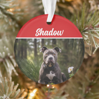Adorno Foto de Navidades de feriados de Pitbull Bluenose