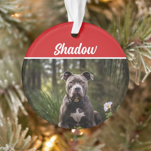 Adorno Foto de Navidades de feriados de Pitbull Bluenose (Árbol)