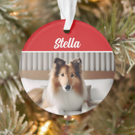 Adorno Foto de Navidades de vacaciones de perro callejero