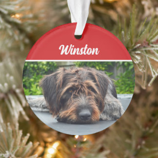 Adorno Foto de Navidades de vacaciones de perros con punt