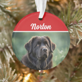 Adorno Foto de Navidades de vacaciones de perros de Terra