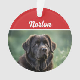 Adorno Foto de Navidades de vacaciones de perros de Terra