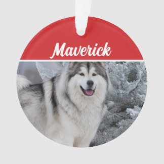 Adorno Foto de Navidades de vacaciones de perros malamuta