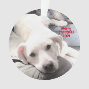 Adorno Foto de perro de cachorro tierno con Navidades de 