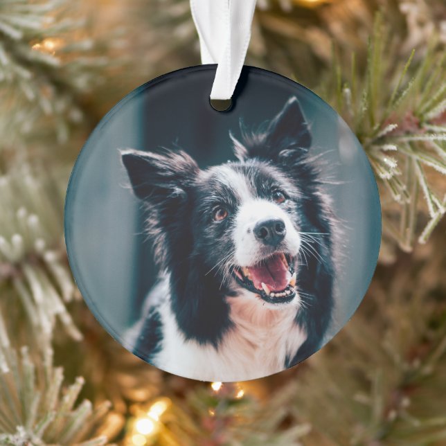 Adorno Foto de perro de Navidad  (Árbol)