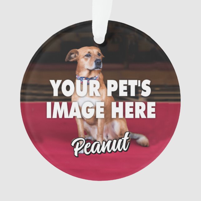 Adorno Foto de su perro (Anverso)