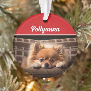 Adorno Foto de vacaciones de Navidad de perro Pomerania l