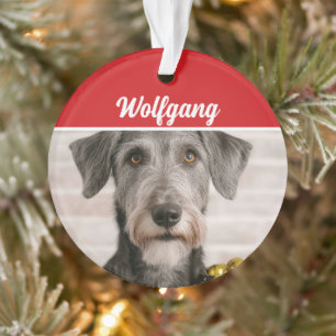 Adorno Foto de vacaciones de perro lobo irlandés Navidad